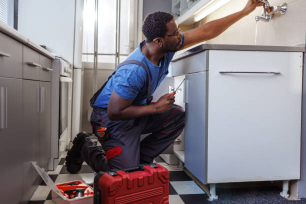 Best Garbage Disposal Repair and Installation  in Sparta, MI